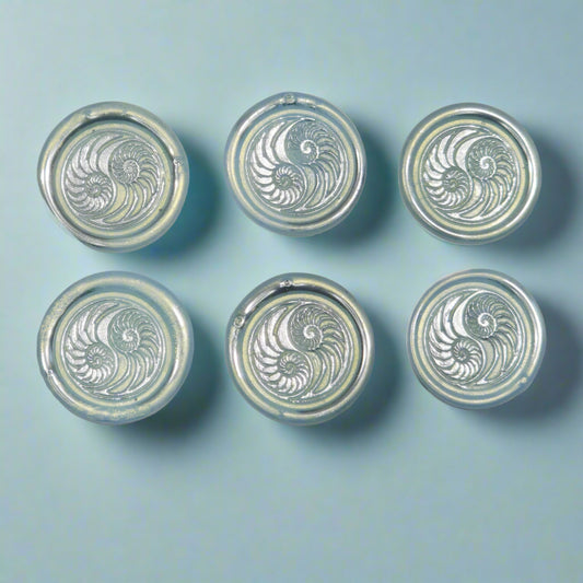 Conch Shell in Yin Yang in Ice Blue and Silver, Set of SIX for cards, invitations, letters and gifts