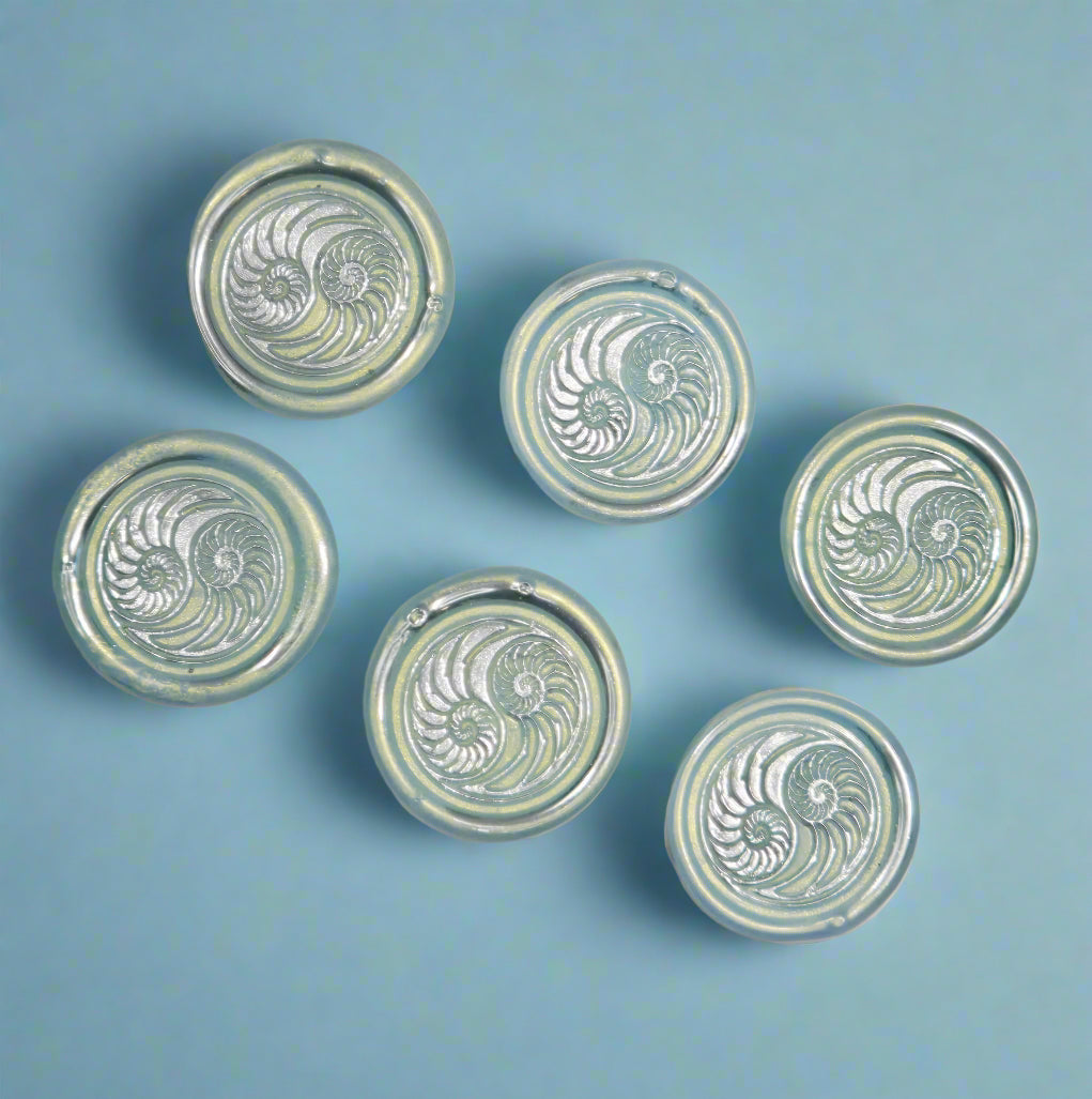 Conch Shell in Yin Yang in Ice Blue and Silver, Set of SIX for cards, invitations, letters and gifts